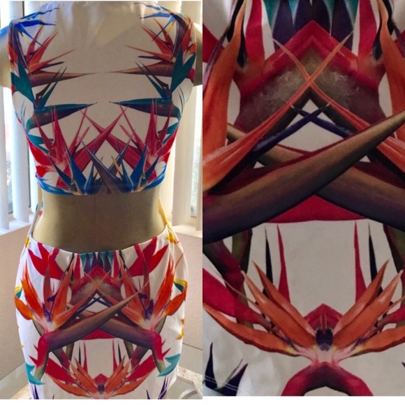 New ARDEN B Bird of Paradise CUT-OUT Bodycon DRESS S - Picture 2 of 9